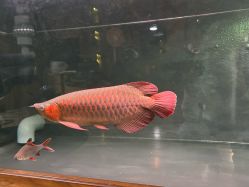 -青木造型HAIR·あおき髪を刈る潮人店