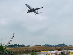 -空港花田景区