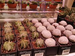 -KKV(天津津南吾悦广场店)