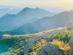 -白草畔自然风景区