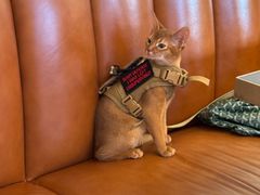 -尚牛社会 Beef & Liberty(金桥EKA天物店)