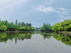 -西湖游船