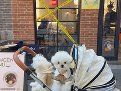 -foodoo芙多松饼店