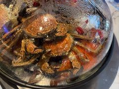 -半岛听涛蒸汽海鲜自助(K11店)