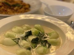 濃湯奶白菜-火璽·園