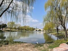 -广富林郊野公园
