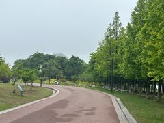 -苏州湾体育公园