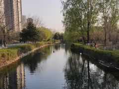-长白岛森林公园