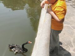 -石家庄市动物园