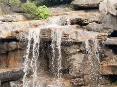 -东莞植物园