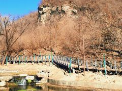 -白水寺森林公园