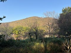 -宝岩生态观光园