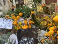 -循礼门鲜花花市(武汉循礼门店)