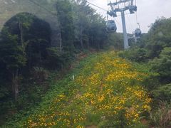 -普陀山风景区-佛顶山