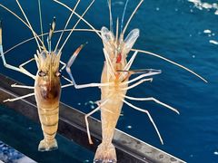 -SHRIMP CLUB万东餐饮钓虾·清吧