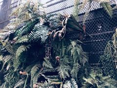 -Fern Forest Cafe