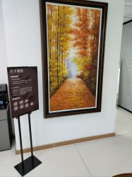 -薇兰专业脱毛连锁机构