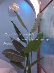-久匠半永久纹眉