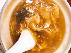 招牌花胶海参煲仔-添發碗仔翅美食
