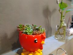 -新澳港式茶餐厅(余姚路店)