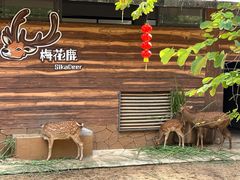 -广州动物园