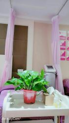 -涌泉妈咪树通乳·产后恢复