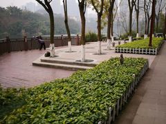 -重庆彩云湖湿地公园