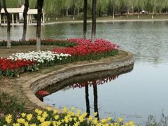 -石家庄市植物园