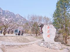 -北京凤凰岭