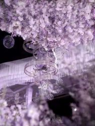 -金茂深圳JW万豪酒店·宴会厅