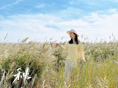 -黄沙古渡原生态旅游区