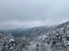 -四明山国家森林公园