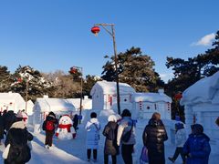 -长春市南湖公园