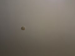 -家富富侨(西城店)