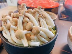 -新草堂锅物料理(泉城路店)