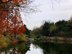 -北京植物园南门售票处
