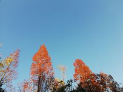 -月牙潭公园