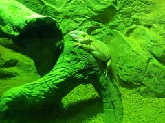 -太平洋海底世界