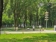 -重庆市江北嘴中央商务区中央公园