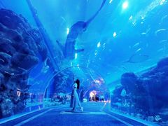 -成都浩海立方海洋公园