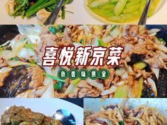 -喜悦烤鸭·新京菜(王府井店)