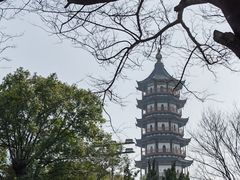 -绳金塔