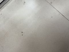 -南海神庙