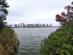 -厦门园林博览苑
