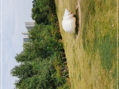 -大亚湾红树林城市湿地公园