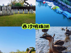 -东平国家森林公园