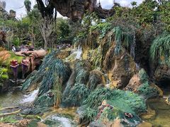 -奥兰多迪士尼动物王国乐园