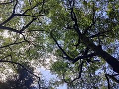 -杭州植物园