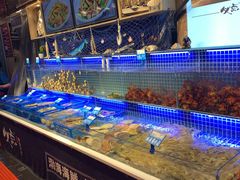 水产区-必点海鲜·鲅鱼水饺(鞍山西道店)
