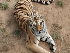 -西霞口神雕山野生动物世界